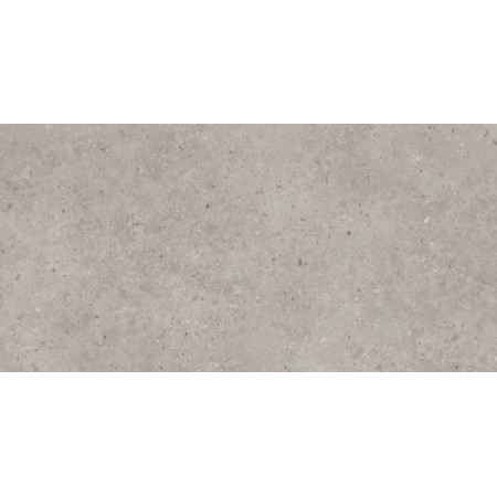 Керамогранит SG519920R Риккарди серый светлый матовый обрезной 60х119,5