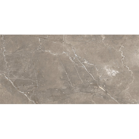 GT122VG Плитка облиц. Siluet GT Кор. 50*25 _ 1 \74,25