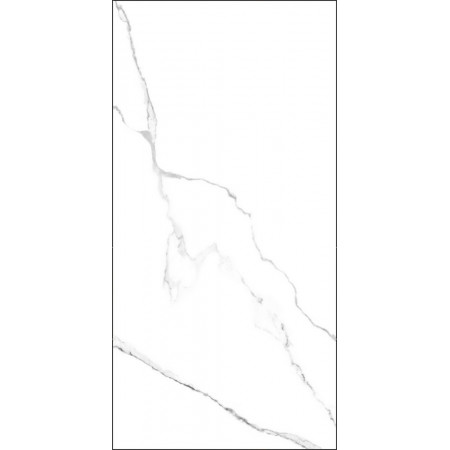 GT120600203MR Плитка грес глаз. Marmo_GT Белый 60*120 _ 1 \43,2