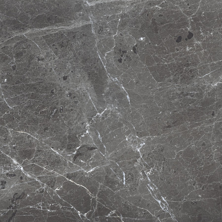 Керамогранит PR108 Ardesia Grafito Polished 600x600