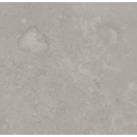 Керамогранит DD640900R Про Лаймстоун серый натуральный обрезной R10 60х60