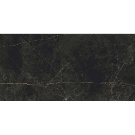 Керамогранит Granite SANDRA Black Olive / Гранит Сандра черно-оливковый LLR 120x60