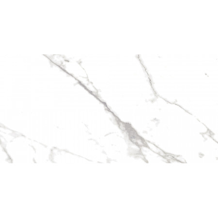 Плитка 16796 Marmo Белый 59,8*29,8