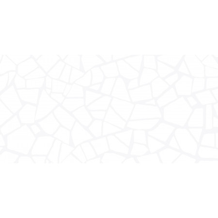 Плитка WT9SML00 Smalta White 249x500