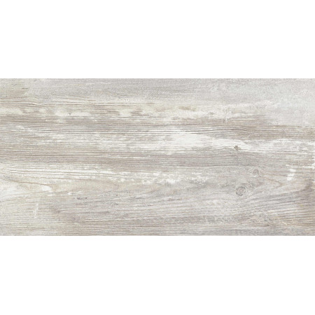 GT225VG Керамогранит Antares_GT Сер. 30x60  1\58,32