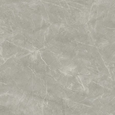 Керамогранит Wolf Grey 80х80