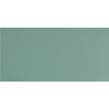 Керамогранит UF029 (мурена моноколор) матовый ректифицированный 60х30