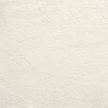 Керамогранит MONOCOLOR CF 010 White Grey / Моноколор CF 010 бело-серый SR 60x60