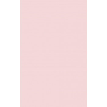 Плитка 00-00-5-09-01-41-2820 Poluna rose 25х40