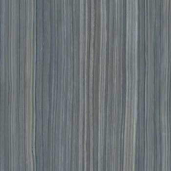 Керамогранит K947859LPR01VTE0 Serpeggiante Серый 60х60