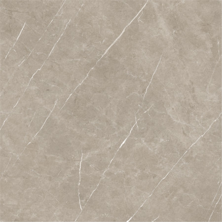 Керамогранит Eternal Taupe Natural 120x120