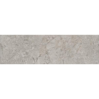 Плитка 9048 Борго серый светлый матовый 8,5x28,5