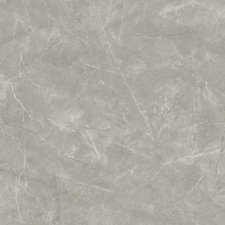 Керамогранит Wolf Grey 80х80