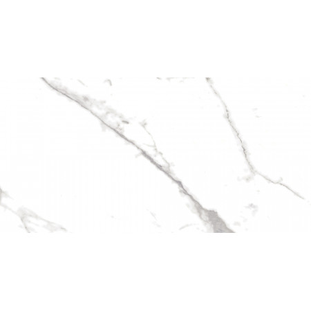 Плитка 16796 Marmo Белый 59,8*29,8