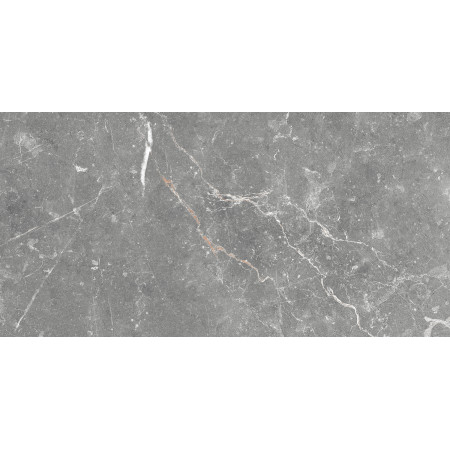 GT99VG Плитка облиц. Capella GT Сер. 50*25 _ 1 \74,25