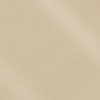 Керамогранит MONOCOLOR CF 100 Avorio / Моноколор CF 100 аворио PR 60x60