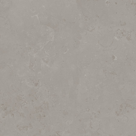 Керамогранит DD640900R Про Лаймстоун серый натуральный обрезной R10 60х60
