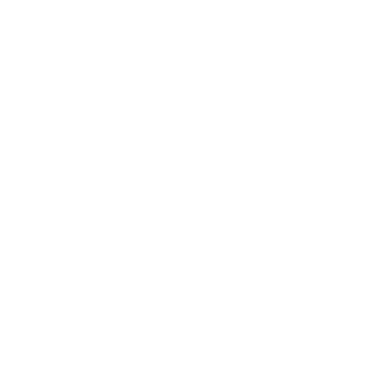 Плитка TWU93SHL00R Shell 30x90