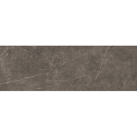 Плитка Shetland Dark Rectificado 33.3х100