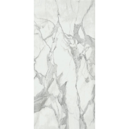 Керамогранит Invictus Natural 120x260