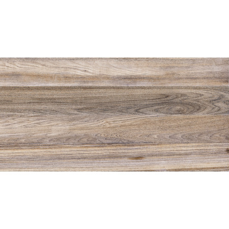 Плитка TWU09DBL404 Dublin 249*500*7.5