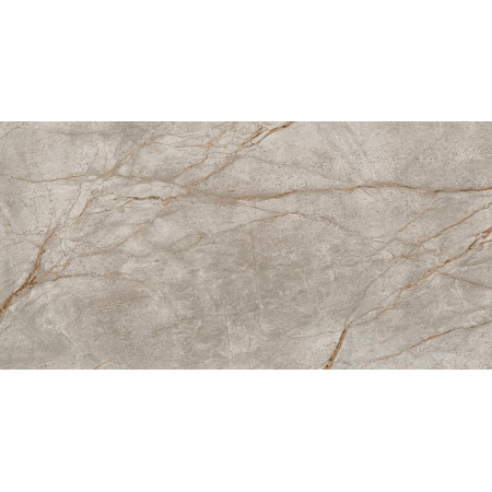 Керамогранит 610015000603 Empire Silver Root Lapp 80x160