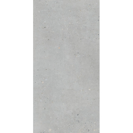 Керамогранит K947893R0001VTER Серый Матовый R10A Ректификат 60x120