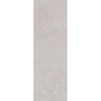 Плитка 14053R Риккарди серый светлый матовый обрезной 40x120