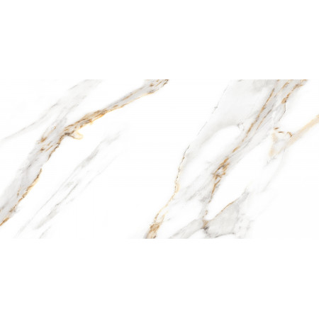 GT97VG Плитка облиц. Capella GT Бел. 50*25 _ 1 \74,25