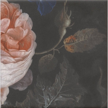 Плитка MLD/A108/5009 Парк Роз 20x20