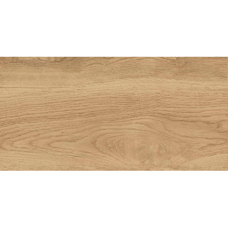 GT220VG Керамогранит Florida_GT Беж. 30x60  1\58,32