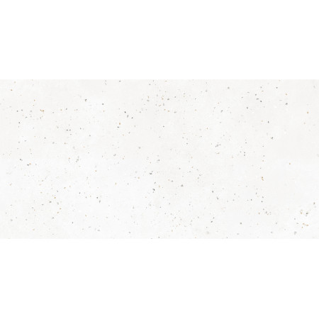 Керамогранит G-40 AMR 30х60