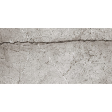 Керамогранит Obsidian Moss Gray Полированный 60х120