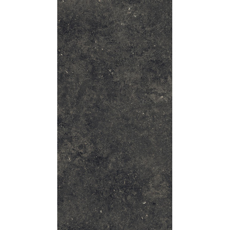 Керамогранит 610015000424 Room Black Stone Pat Ret 60x120