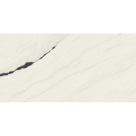 Керамогранит 610015000664 Forte dei Marmi Panda White Lapp 80x160