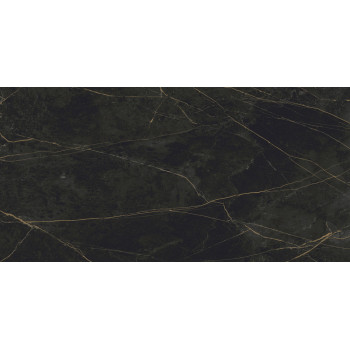 Керамогранит Granite SANDRA Black Olive / Гранит Сандра черно-оливковый LLR 120x60