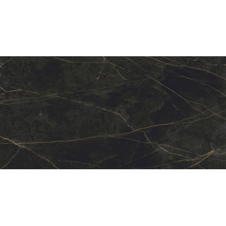 Керамогранит Granite SANDRA Black Olive / Гранит Сандра черно-оливковый LLR 120x60