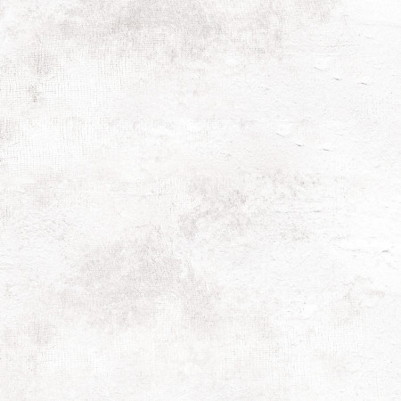 Керамогранит Teona Blanco GP6TEN00 41*41