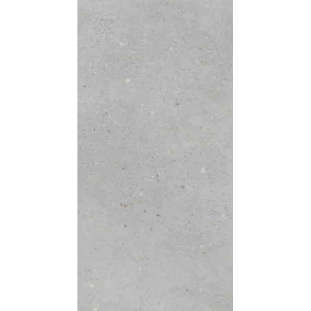 Керамогранит K947893R0001VTER Серый Матовый R10A Ректификат 60x120