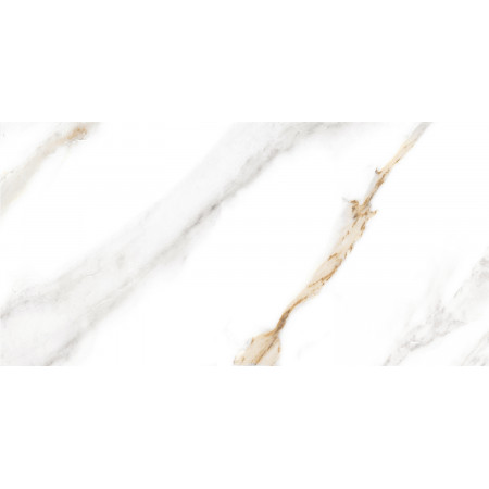 GT97VG Плитка облиц. Capella GT Бел. 50*25 _ 1 \74,25