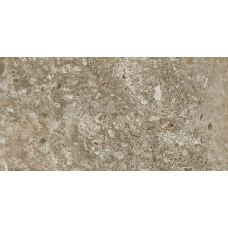 Керамогранит Lunar Brown / Лунар Коричневый LR 120x60