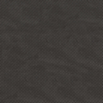 Керамогранит GFU04RAN07R Rane 600*600*10