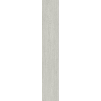 Керамогранит BNS212001 Ash 20x120