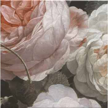 Плитка MLD/A109/5009 Парк Роз 20x20