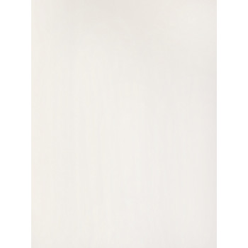 Плитка C-WHK051R White белая прозрачная 20х30