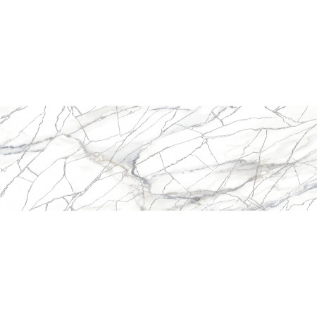 Плитка DW15ALC66R Alicante 24,6x74