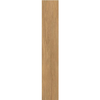 Керамогранит BNS212003 Ocher 20x120