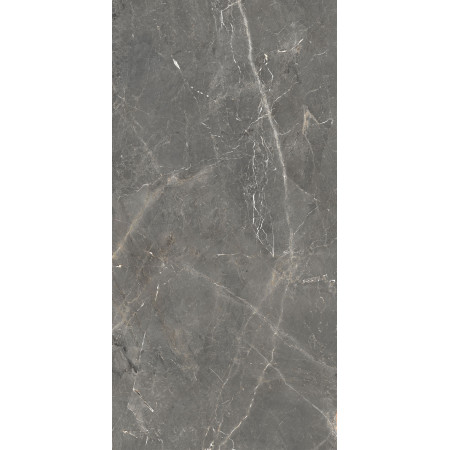 GT1206012109SPR Керамогранит Tulip_GT Темно-сер. 60x120 _ 1\46,08