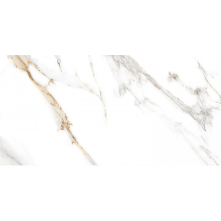 GT97VG Плитка облиц. Capella GT Бел. 50*25 _ 1 \74,25