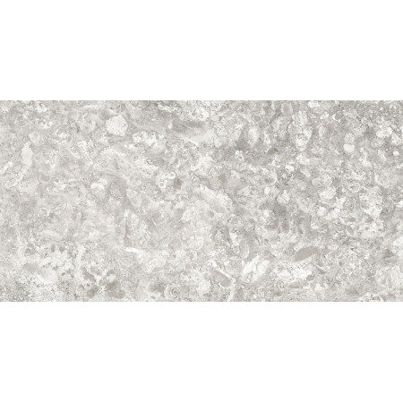 Керамогранит Lunar Grey Light/Лунар Светло-серый MR 120x60